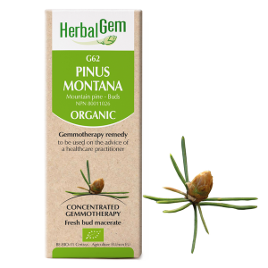 g62 mountain pine boyds alternative health