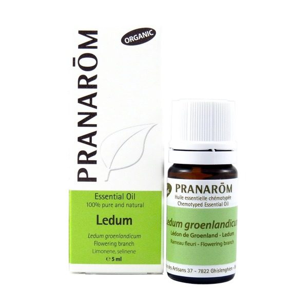 ledum pranarom 5ml boyds alternative health